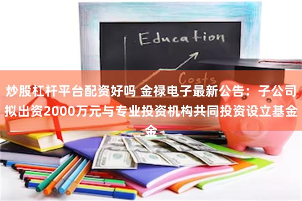 炒股杠杆平台配资好吗 金禄电子最新公告：子公司拟出资2000万元与专业投资机构共同投资设立基金