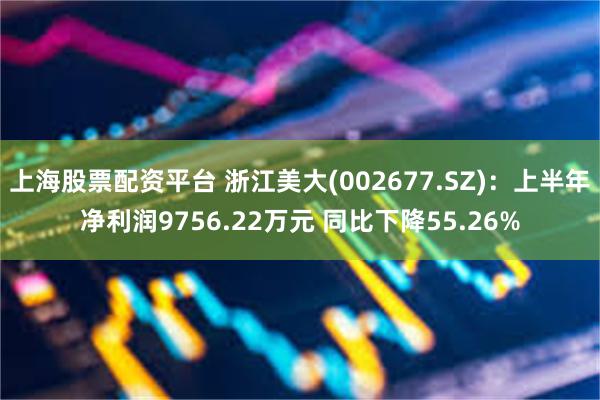 上海股票配资平台 浙江美大(002677.SZ)：上半年净利润9756.22万元 同比下降55.26%