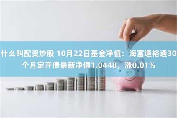 什么叫配资炒股 10月22日基金净值：海富通裕通30个月定开债最新净值1.0448，涨0.01%