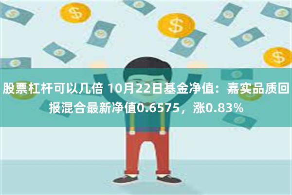 股票杠杆可以几倍 10月22日基金净值：嘉实品质回报混合最新净值0.6575，涨0.83%