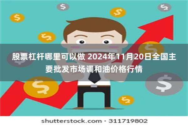 股票杠杆哪里可以做 2024年11月20日全国主要批发市场调和油价格行情