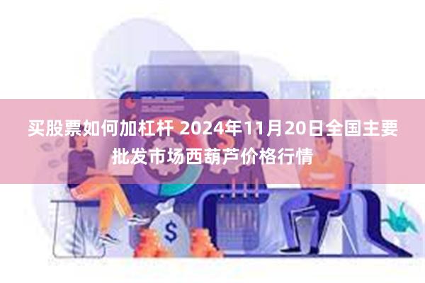 买股票如何加杠杆 2024年11月20日全国主要批发市场西葫芦价格行情