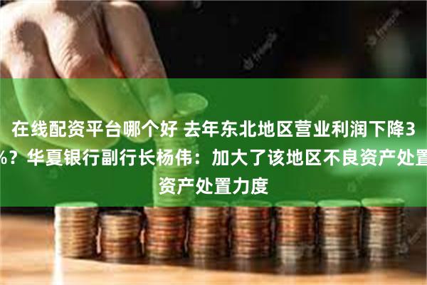 在线配资平台哪个好 去年东北地区营业利润下降3031%？华夏银行副行长杨伟：加大了该地区不良资产处置力度